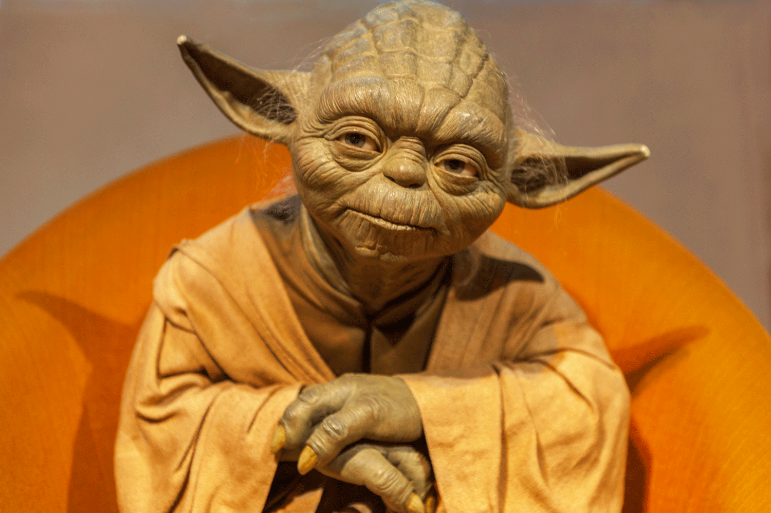 Even Yoda can offer advice about the utility of failureBoxBrownie.com